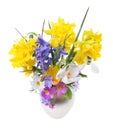 Bouquet of spring flowers in a vase, Easter composition, on an isolated white Royalty Free Stock Photo