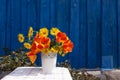 A bouquet of spring flowers in a white vase on a blue wooden background Royalty Free Stock Photo