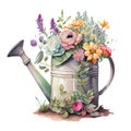 A bouquet of spring garden flowers in an iron watering can made using watercolor technique. Vintage old pot of Royalty Free Stock Photo