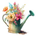 A bouquet of spring garden flowers in an iron watering can made using watercolor technique. Vintage old pot of Royalty Free Stock Photo