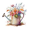 A bouquet of spring garden flowers in an iron watering can made using watercolor technique. Vintage old pot of Royalty Free Stock Photo