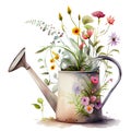 A bouquet of spring garden flowers in an iron watering can made using watercolor technique. Vintage old pot of Royalty Free Stock Photo