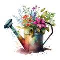 A bouquet of spring garden flowers in an iron watering can made using watercolor technique. Vintage old pot of Royalty Free Stock Photo