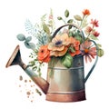 A bouquet of spring garden flowers in an iron watering can made using watercolor technique. Vintage old pot of Royalty Free Stock Photo