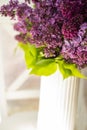 Bouquet of spring lilac flowers in a white vase in a light interior. Royalty Free Stock Photo