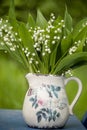 Bouquet of spring lily of the valley flowers on a bench