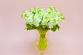 Bouquet of a spring mattiola. Royalty Free Stock Photo