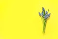 Bouquet of spring muscari flowers on color background Royalty Free Stock Photo