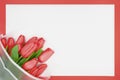 Bouquet of spring red tulips on white paper background. International women`s, Valentine, Mother`s day, 8 March, birthday