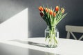 A bouquet of spring red-yellow tulips in a glass vase on a white table. Bright sunlight, harsh shadows. Minimalism. Copy space Royalty Free Stock Photo