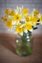Bouquet of spring seasonal flowers in a vase Royalty Free Stock Photo