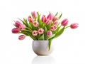 Bouquet of spring tulips pink and yellow in a white ceramic vase. Congratulations on Mother\'s Day, Easter, March 8