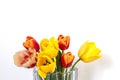 bouquet of spring tulips on a white background with space for text. red and yellow flowers in a transparent vase Royalty Free Stock Photo