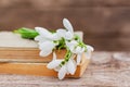 Bouquet of spring white snowdrop flowers on books on a wooden table Royalty Free Stock Photo