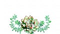 bouquet of succulents painted in watercolor. bohemian design for cards, spring or summer decoration, succulent detail