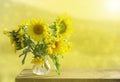 A bouquet of summer flowers, a bouquet of sunflowers in a glass vase Royalty Free Stock Photo