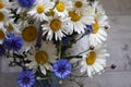 Bouquet of summer flowers white daisies and blue cornflowers in the vase on the green trees background in the garden Royalty Free Stock Photo