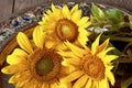 A bouquet of summer sunflowers on a beautiful tray