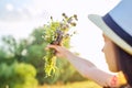 Bouquet of summer wildflowers in girls hand, sky in clouds background, sunset sun lighting Royalty Free Stock Photo