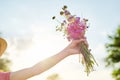 Bouquet of summer wildflowers in girls hand, sky in clouds background, sunset sun lighting Royalty Free Stock Photo