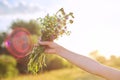 Bouquet of summer wildflowers in girls hand, sky in clouds background, sunset sun lighting Royalty Free Stock Photo