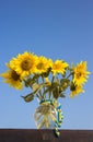 bouquet of sunflower flowers in a glass vase with a yellow - blue ribbon against the sky Royalty Free Stock Photo