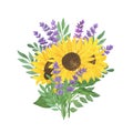 Bouquet of sunflower, lavender, leaves watercolor illustration, floral composition, summer plant arrangement symbol of French Royalty Free Stock Photo