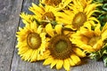 A bouquet of sunflowers as a sign of the end of summer