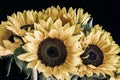 Bouquet of sunflowers on black background in vintage style close-up Royalty Free Stock Photo