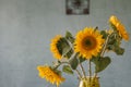 Bouquet of sunflowers with blue textured wall background