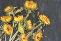 Bouquet sunflowers with camilla and poppies boxes on dark background. Autumn harvest. Fading flowers herbarium.