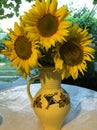 Bouquet of sunflowers in a clay vase Royalty Free Stock Photo