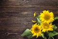 Bouquet of sunflowers on a dark wooden background. Copy space. Royalty Free Stock Photo