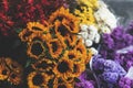 A bouquet of sunflowers in the flower market Royalty Free Stock Photo