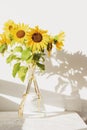 Bouquet of sunflowers in glass vase against white wall in sunlight. Closeup Royalty Free Stock Photo