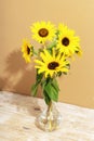 Bouquet of sunflowers in glass vase on wooden table. Closeup Royalty Free Stock Photo