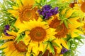 Bouquet of sunflowers and lavender on white background. Royalty Free Stock Photo