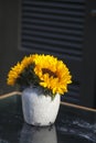 Bouquet of sunflowers in old ceramic jug Royalty Free Stock Photo