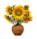 Bouquet of sunflowers in an old ceramic vase, isolated on white, summer decoration, countryside style Royalty Free Stock Photo