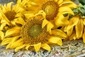 A bouquet of sunflowers, red currants, as a sign of the end of summer on a beautiful tray