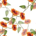 Bouquet sunflowers seamless pattern Royalty Free Stock Photo