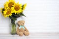 A bouquet of sunflowers in a vase with toy bear against the white brick wall Royalty Free Stock Photo