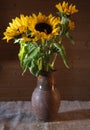 A bouquet of sunflowers in a vintage ceramic jug Royalty Free Stock Photo