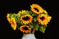 Bouquet of sunflowers in a white vase on a black background.