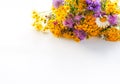 Bouquet of tansy, white daisy and thorny burdock wild summer flowers Royalty Free Stock Photo