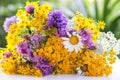 Bouquet of tansy, white daisy and thorny burdock wild summer flowers Royalty Free Stock Photo