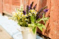 Bouquet of tea flowers. Chamomile, lemon balm and mint. Healthy diet. morning in the village. wooden background Royalty Free Stock Photo