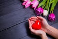 Bouquet of tender pink tulips and hands holding red heart on black wooden background Royalty Free Stock Photo