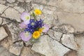 Bouquet of Texas wildflowers in a jar on stone ground