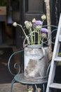 Bouquet of thistles in a galvanized bucket stands on a chair near the entrance to the store.